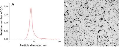 Influence of Fluoropolymer Film Modified With Nanoscale Photoluminophor on Growth and Development of Plants